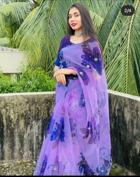 BRISA Pure Organza Handwork Sarees