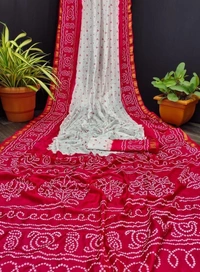 BRISA  Beautiful Bandhej Sarees