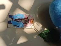 Layover Luggage Tag