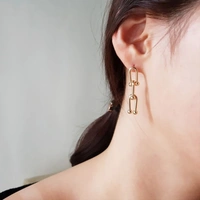 Link Earrings 