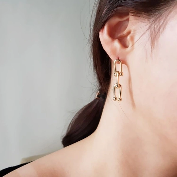 Link Earrings 
