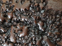 Choco Chips Cake - 500 Gms